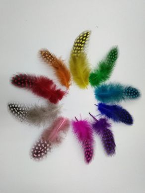 Перья цесарки окрашенные, микс из 10 цветов, 35-100 мм